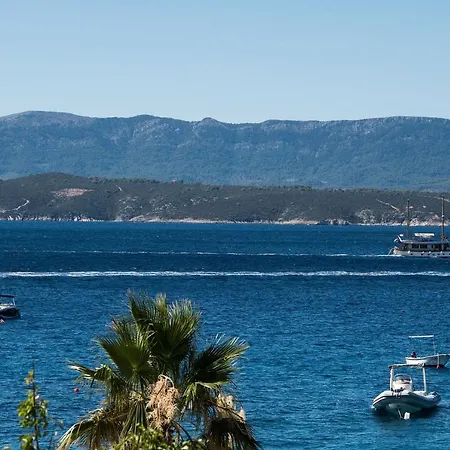 Sea View Maja شقة *